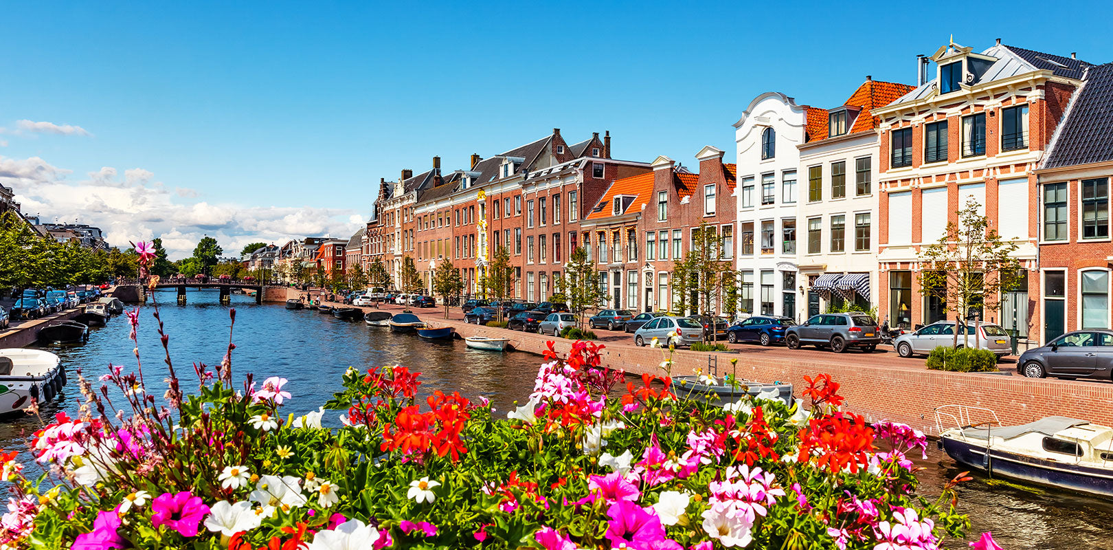 Bestel taarten naar Haarlem!