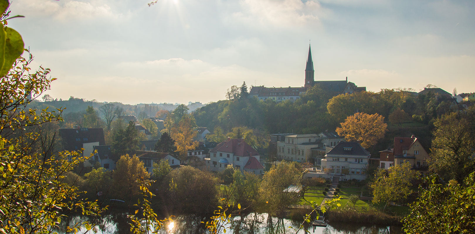 Torten nach Halle bestellen!