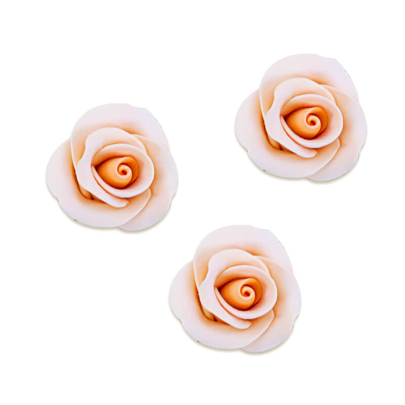 Suikerroos Peachy, ongeveer 28 mm (3 stuk)