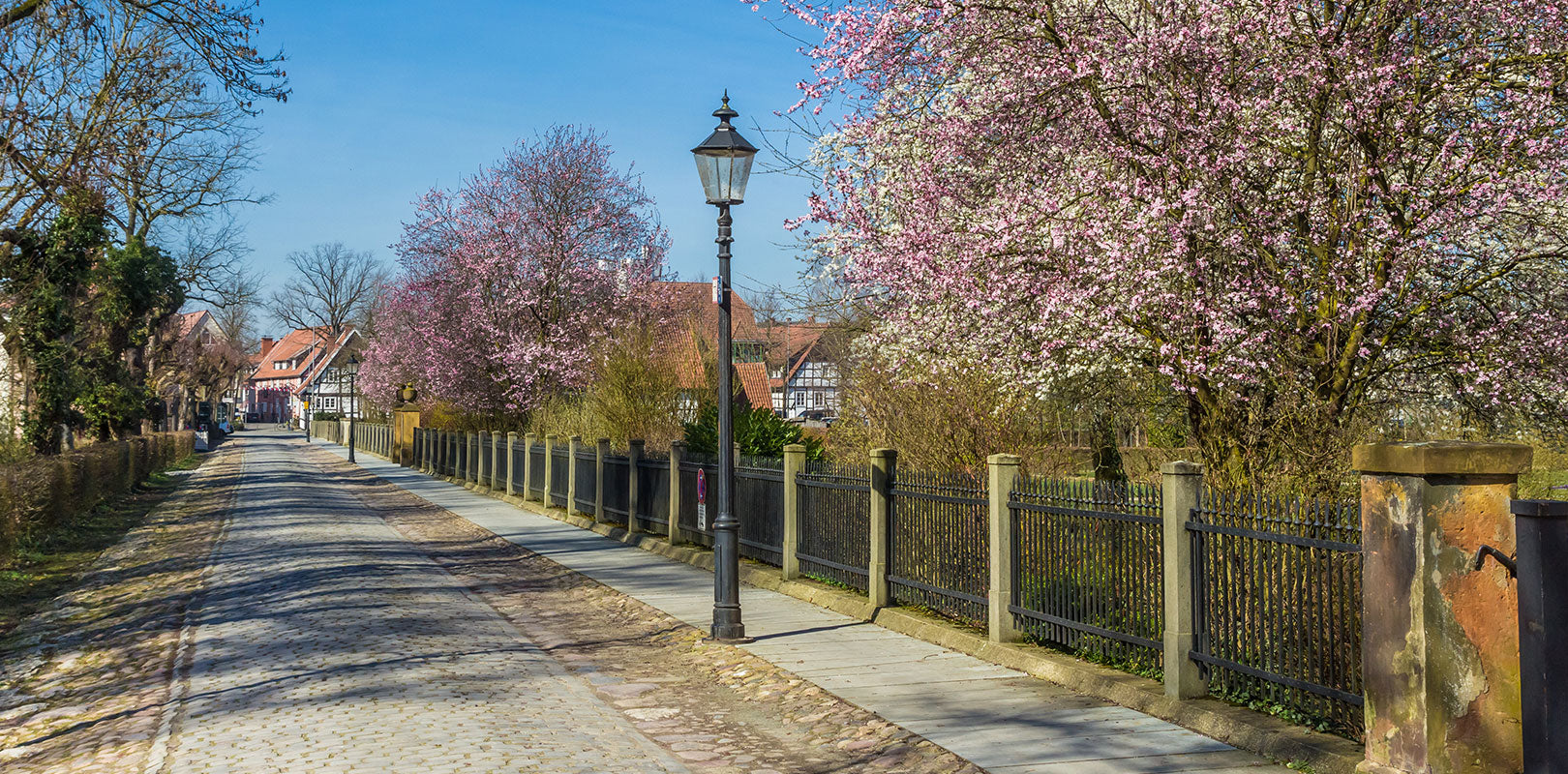 Torten nach Rheda-Wiedenbrück bestellen!