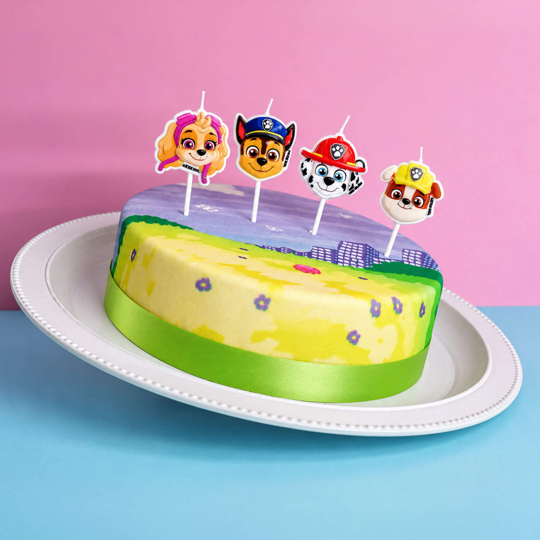 Paw Patrol® op kleurrijke weidetaart