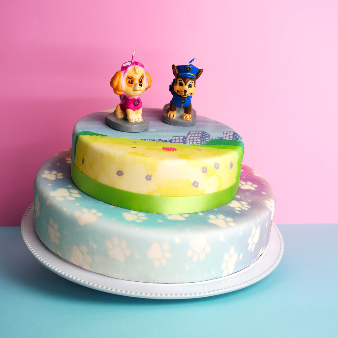 Paw Patrol® op een tweelaagse kleurrijke weidetaart