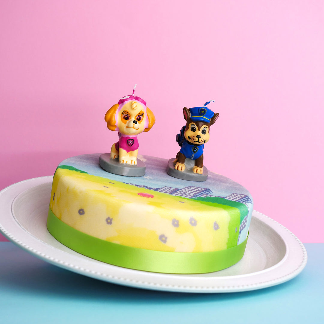 Paw Patrol® op kleurrijke weidetaart