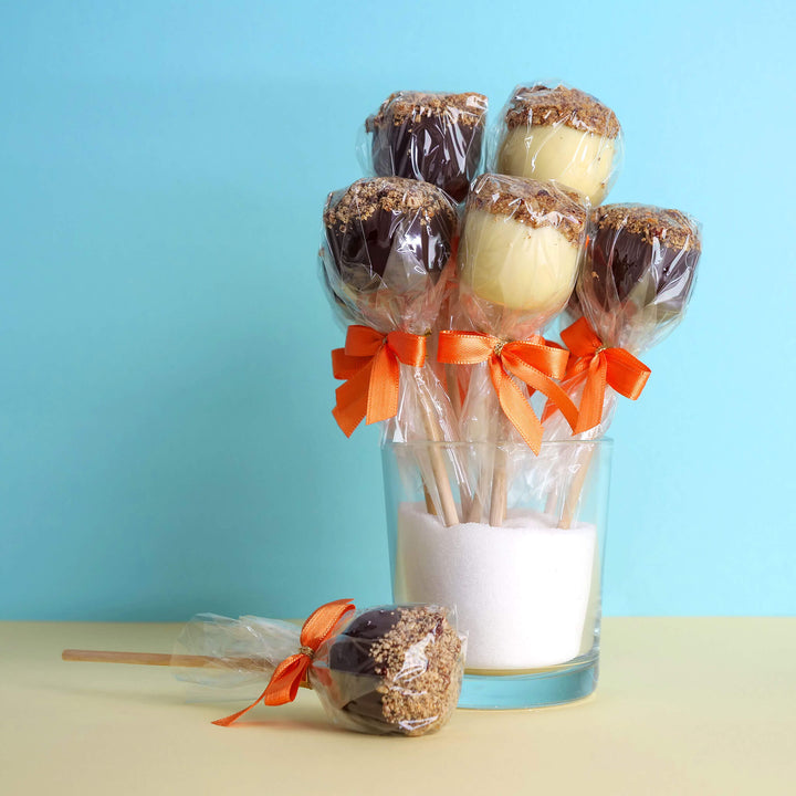 Pumpkin Spice Cakepops (12 Stuks)