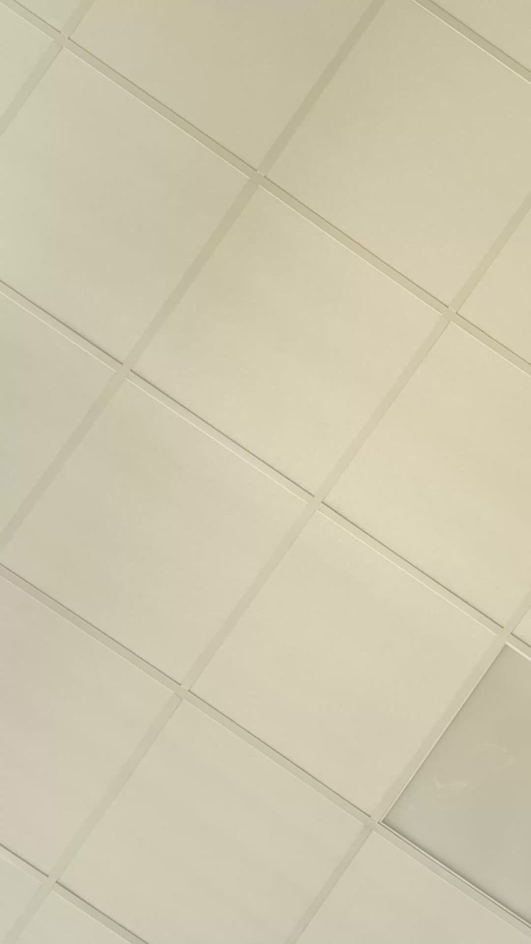 Roze schooltaskoekjes (12 stuks)