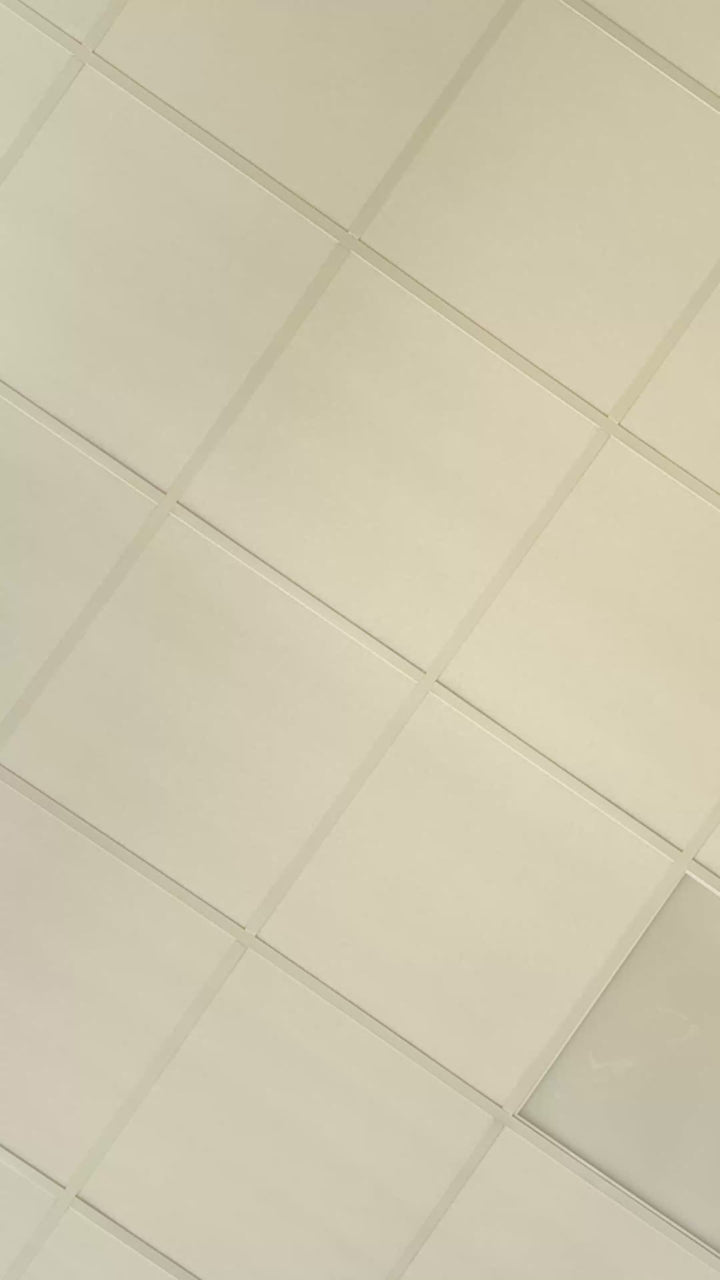 Roze schooltaskoekjes (12 stuks)